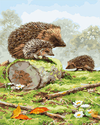 Animal Paint By Numbers Kits UK GX25637