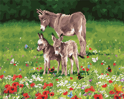 Animal Paint By Numbers Kits UK GX25638