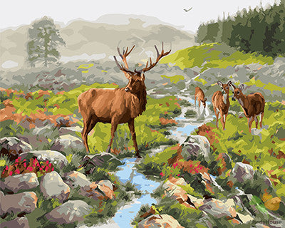 Animal Paint By Numbers Kits UK GX25642