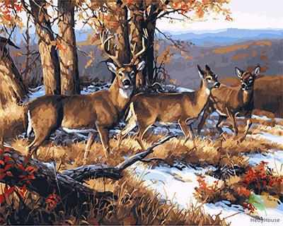 Animal Paint By Numbers Kits UK GX25751