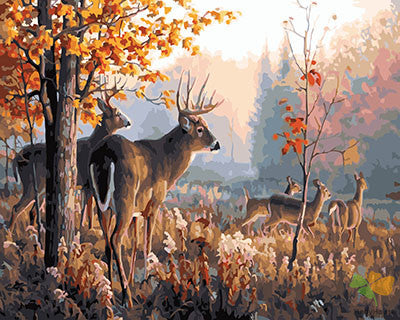 Animal Paint By Numbers Kits UK GX25766