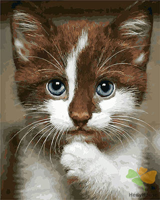 Cat & Dog Paint By Numbers Kits UK GX25875