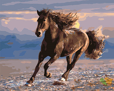 Animal Paint By Numbers Kits UK GX25885