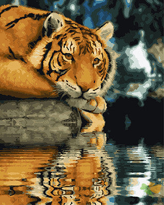 Animal Paint By Numbers Kits UK GX26065