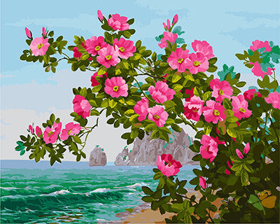 Flower Paint By Numbers Kits UK GX26067