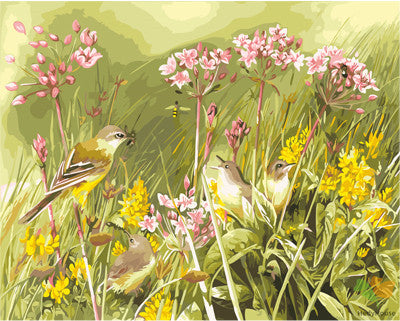 Flower Paint By Numbers Kits UK GX26355