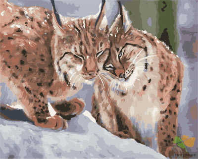 Animal Paint By Numbers Kits UK GX26467