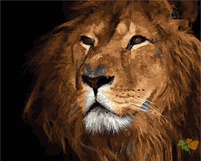 Animal Paint By Numbers Kits UK GX26664