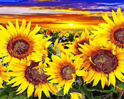 Flower Paint By Numbers Kits UK GX27106