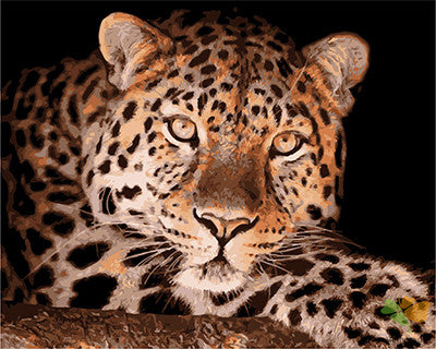 Animal Paint By Numbers Kits UK GX27114