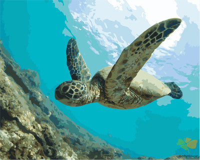 Animal Paint By Numbers Kits UK GX27202