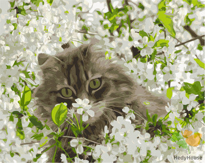 Cat & Dog Paint By Numbers Kits UK GX27209