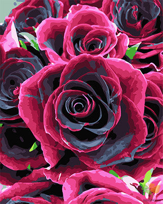 Flower Paint By Numbers Kits UK GX27226