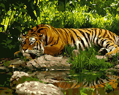 Animal Paint By Numbers Kits UK GX27310