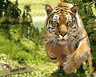 Animal Paint By Numbers Kits UK GX27312