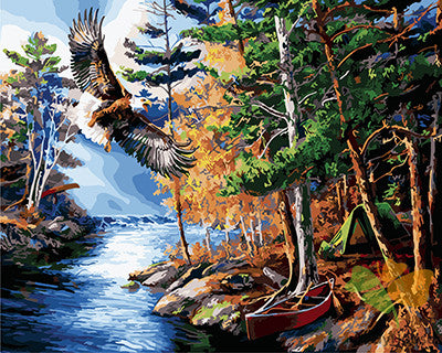 Birds Paint By Numbers Kits UK GX27362