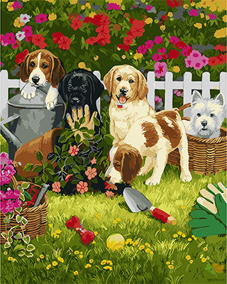 Cat & Dog Paint By Numbers Kits UK GX27364