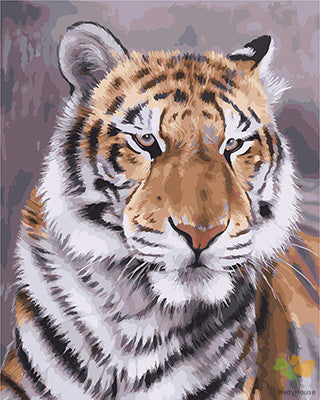 Animal Paint By Numbers Kits UK GX27473