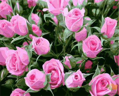 Flower Paint By Numbers Kits UK GX27572