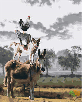 Animal Paint By Numbers Kits UK GX27583