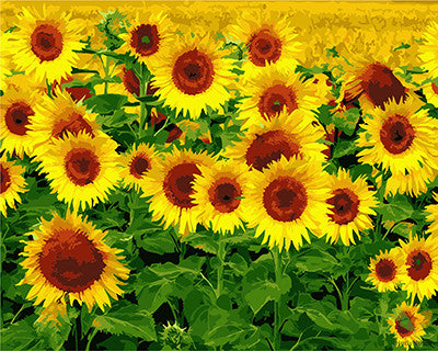 Flower Paint By Numbers Kits UK GX27712