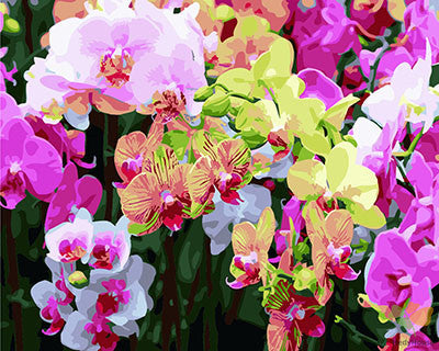 Flower Paint By Numbers Kits UK GX27753