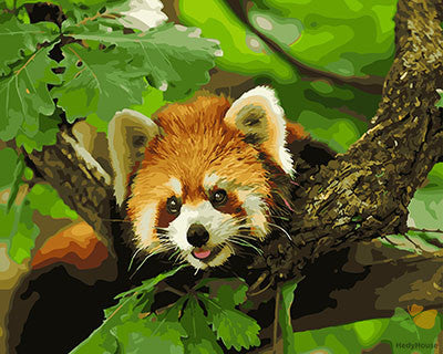 Animal Paint By Numbers Kits UK GX27773