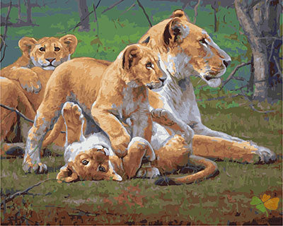 Animal Paint By Numbers Kits UK GX27815