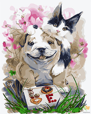 Cat & Dog Paint By Numbers Kits UK GX27919