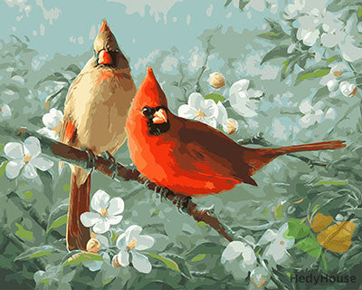 Birds Paint By Numbers Kits UK GX27930