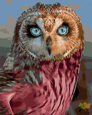 Animal Paint By Numbers Kits UK GX27978