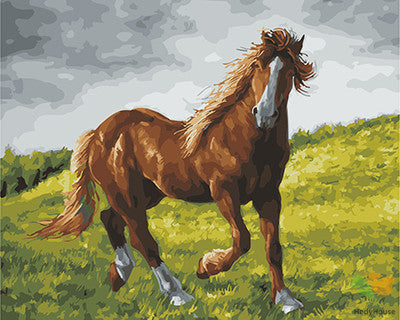 Animal Paint By Numbers Kits UK GX28113