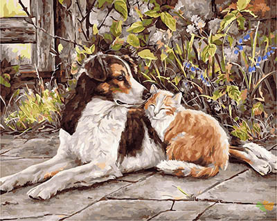 Cat & Dog Paint By Numbers Kits UK GX28279