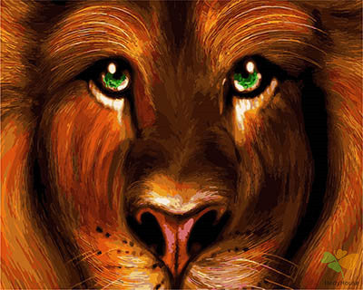 Animal Paint By Numbers Kits UK GX28335