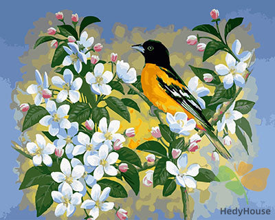Birds Paint By Numbers Kits UK GX28363