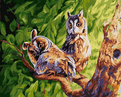 Animal Paint By Numbers Kits UK GX28409