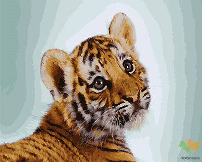 Animal Paint By Numbers Kits UK GX28451