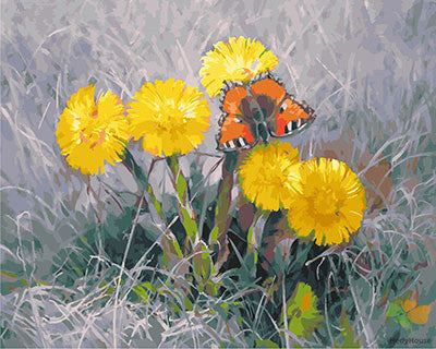 Flower Paint By Numbers Kits UK GX28507