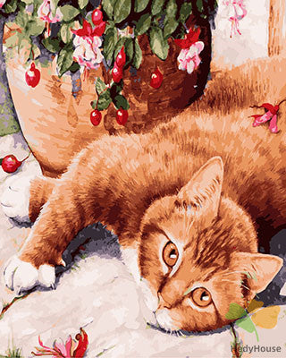 Cat & Dog Paint By Numbers Kits UK GX28509