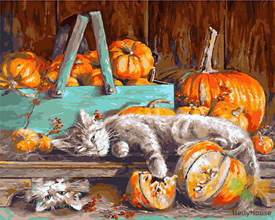 Cat & Dog Paint By Numbers Kits UK GX28572