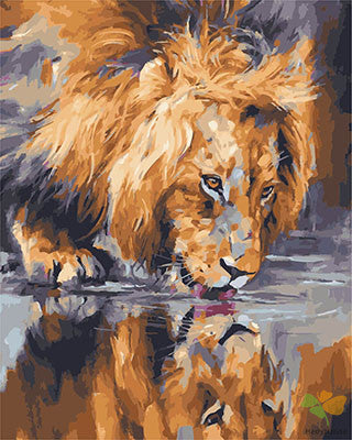 Animal Paint By Numbers Kits UK GX28650