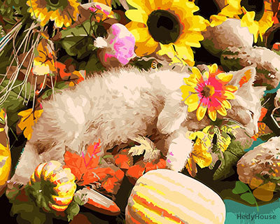 Cat & Dog Paint By Numbers Kits UK GX28661