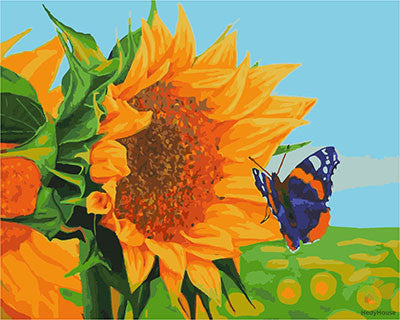 Flower Paint By Numbers Kits UK GX28671