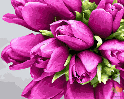 Flower Paint By Numbers Kits UK GX28963