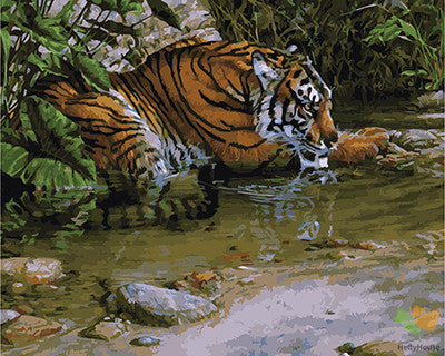 Animal Paint By Numbers Kits UK GX29083