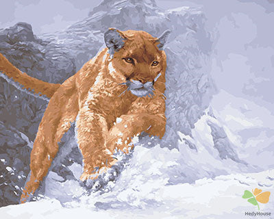 Animal Paint By Numbers Kits UK GX29144