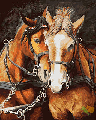 Animal Paint By Numbers Kits UK GX29169