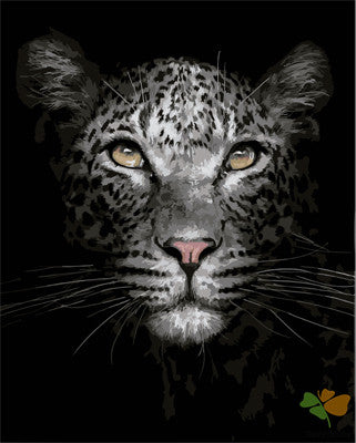 Animal Paint By Numbers Kits UK GX29190