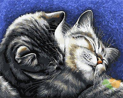 Cat & Dog Paint By Numbers Kits UK GX29217