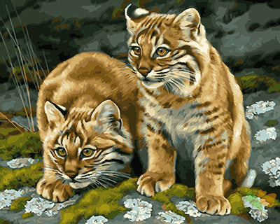 Animal Paint By Numbers Kits UK GX29224